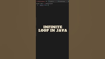 INFINITE LOOP IN JAVA