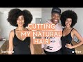 Why I cut my long natural hair | SWIRLY CURLY