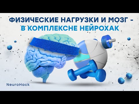 Физическая активность и мозг