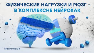 картинка: Физическая активность и мозг