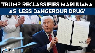Trump News | Donald Trump Signs Executive Order To Reclassify Marijuana As Less Dangerous Drug