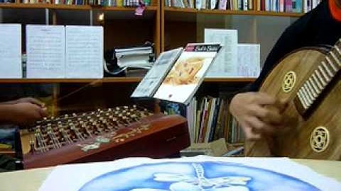 Yang Qing and Zhong Ruan Duo - Flight of the bumble bee