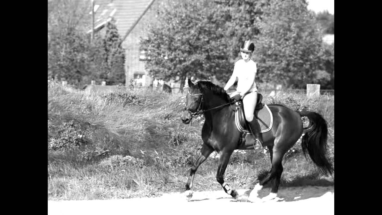 Es tut mir leid, mein großer.