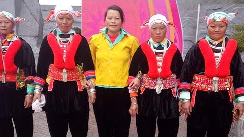 tiếng hát lượn dân tộc dao đỏ ll iu mienh páo nzung ll Triệu Mùi Pham VLOG