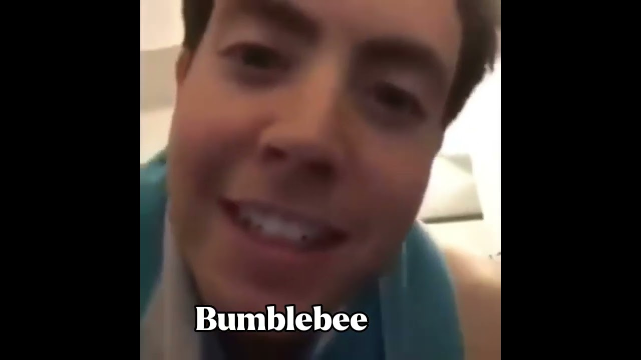 Transformers g1 as vines part 1 ig