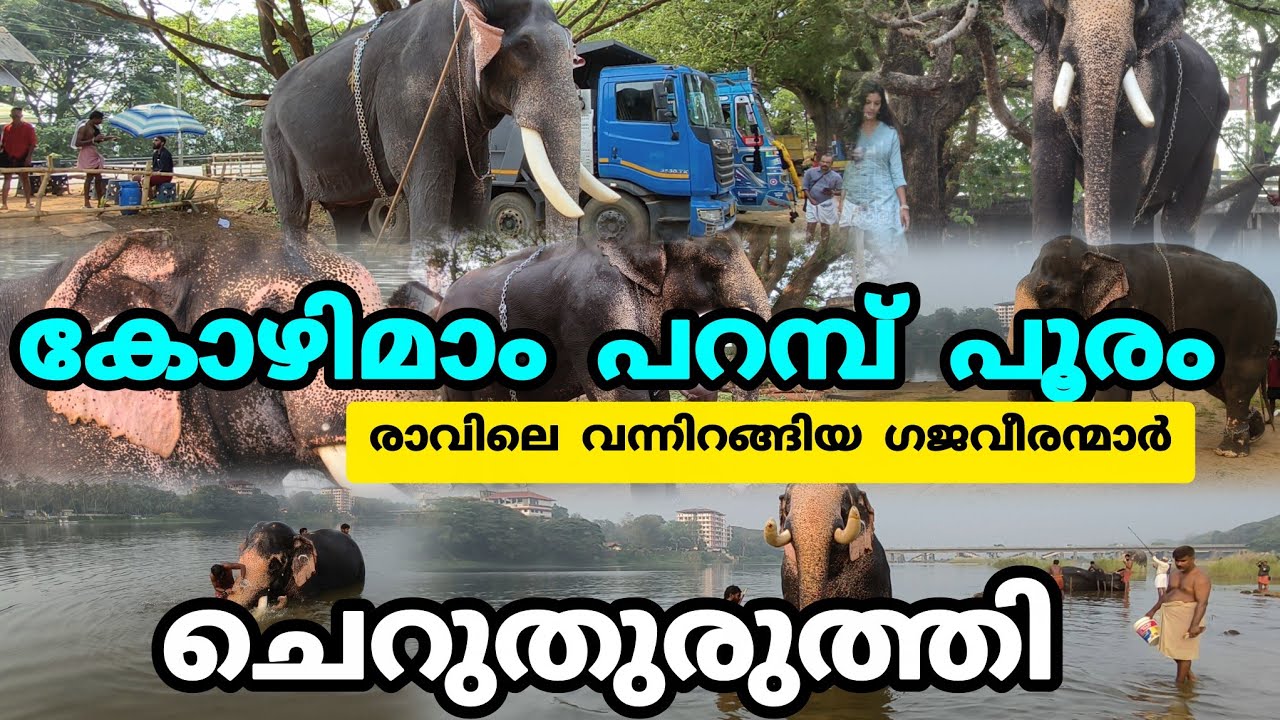 ചെറുതുരുത്തി കോഴി മാംപറമ്പ് പൂരത്തിന് രാവിലെ വന്നിറങ്ങിയ ഗജവീരന്മാരുടെ വീഡിയോ ആണിത് രാജൻ കാളി കേശവൻ 