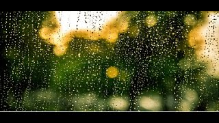 Шум дождя 10ч Музыка для сна, медитации Rain Sounds 10 Hours Rain sounds for sleeping