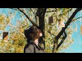 aimi - The Fool, The Lovers (Teaser)