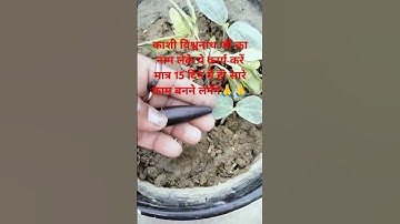 pandit Pradeep Mishra ji ka upay#short video#🙏😭👍