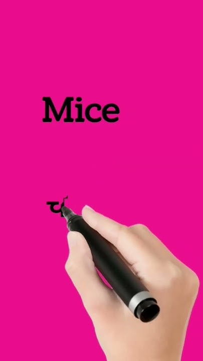Mice Meaning In Hindi mice Ko Hindi Me Kya Kahte Hai mice-meaning-in-hindi-mice-ko-hindi-me-kya-kahte-hai
