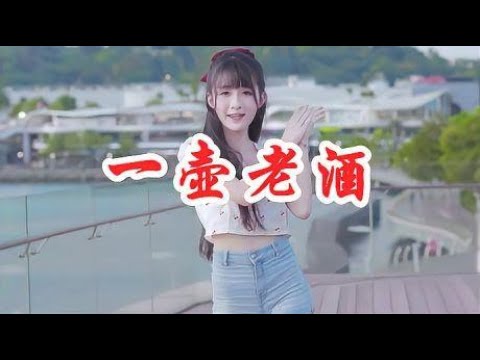 美女歌手一首《一壶老酒》DJ版，满满的思绪，好听极了！