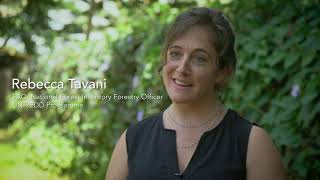 Saving forests by monitoring what’s happening on the ground, together with the local communities