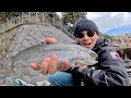 春の湖でトラウト釣ってみた