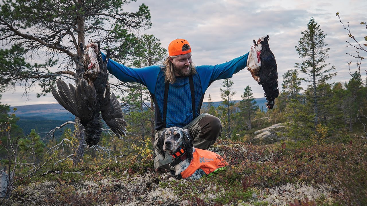Utmarka utforsker rype- og skogsfugljakt i Sommar- og Vintervegskardet ...