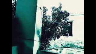 JU .. MR MIAOU TRACKS MIX (DARK PSY MIX) #ektoplazm