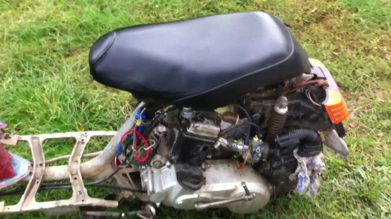 Honda tact ivy