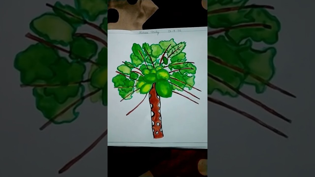 Easy Nature Study Water colour | 