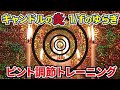 【 瞳孔ゆらぎ と ピント調節 】で驚くべき結果 !! 毛様体筋 を リラックス させながら 遠近トレーニング