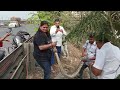Bhavna patel mo 9328097271     snake helpline snake catcher wildlife animal