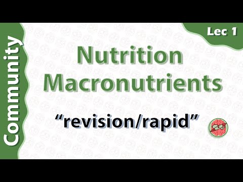 nutrition lec 1 "macronutrients " revision\rapid - Community - amro ashraf