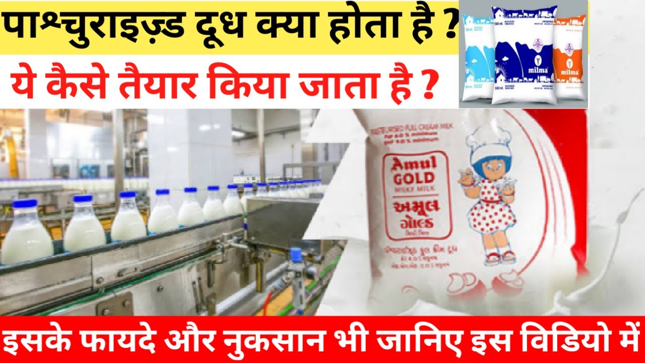 Pasteurized milk kya hota hai|Pasteurized milk process|Pasteurization ...