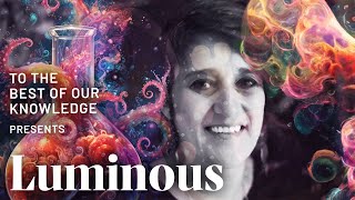 Luminous: What happens to an octopus on MDMA