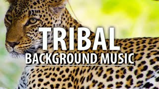 Tribal Background Music | Percussion-Driven Soundtrack for Nature, Survival, and Action Videos
