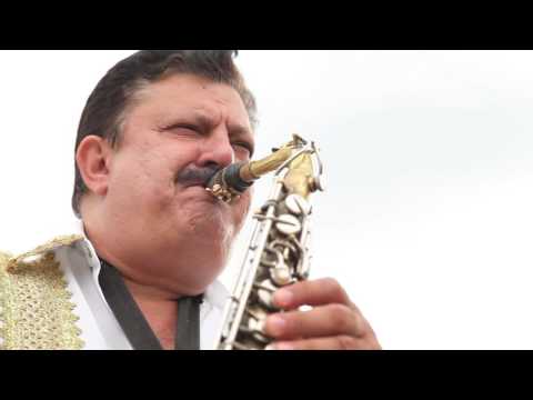 DAN NISTOR 2015- DE LA MOSU AM PAMINT