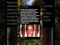 The Nine-Year-Old Who Walked Into a Midnight Storm