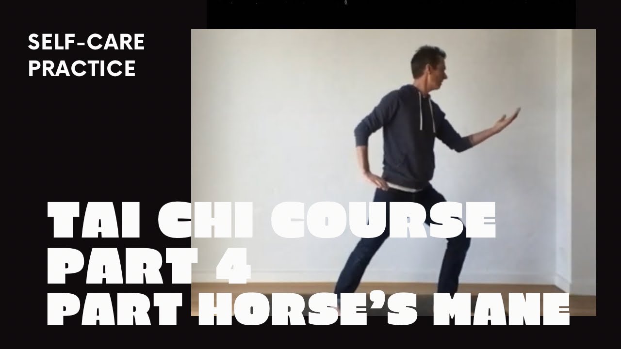 Mane Course Tai Chi course: part 4 (Part the horse's mane) - YouTube