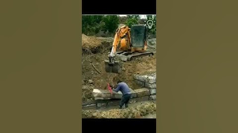 ما اسم القارئ؟