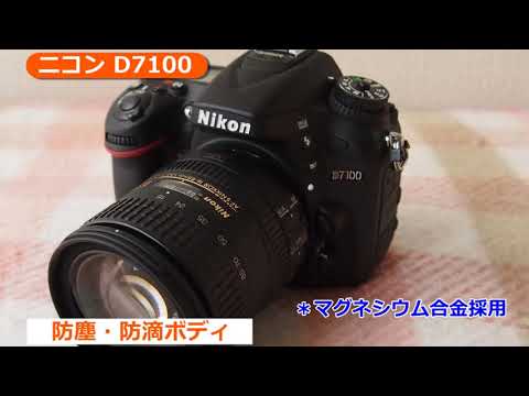 ニコン D7100(カメラのキタムラ動画_Nikon)