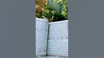 قرآن كريم#تلاوة_خاشعة#قران_كريم#قرآن#اكسبلور#ترند#حالات_واتس#تيك_توك#العراق#السعودية#مصر#الجزائر