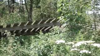 Go Pro Winterberg Bas01