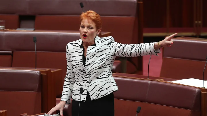 Racist: Pauline Hanson storms out of senate Indige...