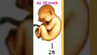 baby journey from embryo to baby pregnancyjourney pregnancy fetalgrowth