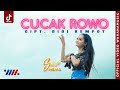 Safira Inema Cucak Rowo Dj Tiktok Full Bass Remix Music Mp3 - Mp4 Download