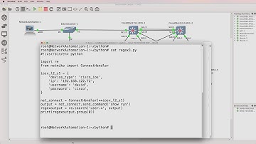 Python network automation, BGP and IOS regular expressions (regex). Search output (Part 2).