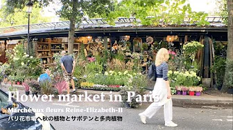"Visiting Paris Flower Market (Exploring Autumn Plants, Cacti, and Succulents)