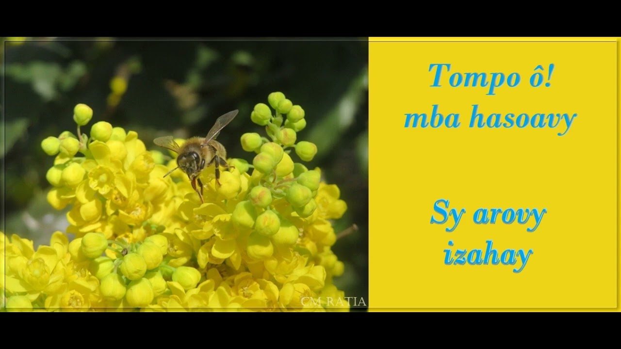 Tompo ô ! mba hasoavy - Fihirana FFPM 340 - Feon_kira - CM RATIA