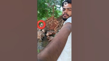 MY FIRST MINI VLOG PART 1 #shorts #trending #minivlog #vlog #vlogvideo #youtubeshorts #vlogger