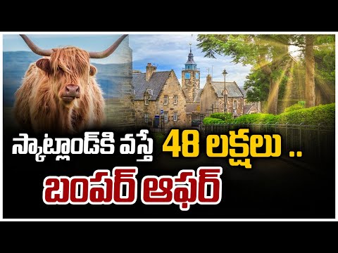 స్కాట్లాండ్‎కి వస్తే 48 లక్షలు .. బంపర్ ఆఫర్ | Scotland Government is Paying Rs 49 Lakh to Families