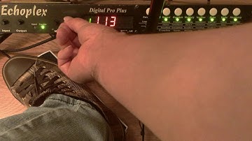 The "Delay" Interface Mode on the Echoplex Digital Pro