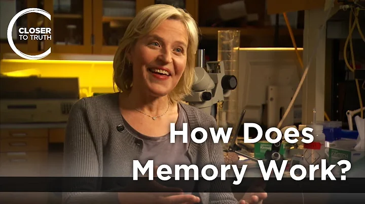 Kelsey Martin - How Does Memory Work?