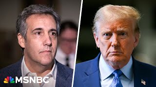 'Not your usual cross-examination': Ex-Trump lawyer weighs in on Michael Cohen's testimony