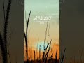 سورة التوبة الآية 38 بصوت القارئ محمد الفقيه