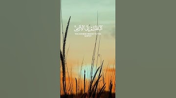 سورة التوبة الآية 38 بصوت القارئ محمد الفقيه
