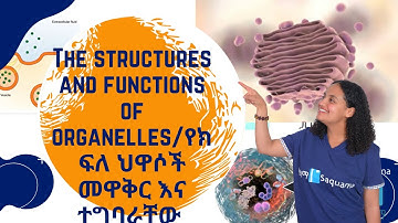 Grade 7 General Science Unit 4: The structures and functions of organelles/