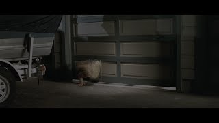 Scream (1996) - Tatum In The Pet Door