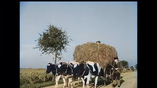 Rural Germany in 1937 | Colorized & Restored Footage with Added Ambient Sound